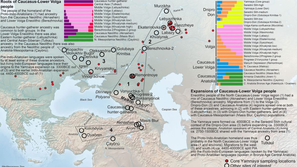 Генетики перенесли прародину индоевропейцев на Украину