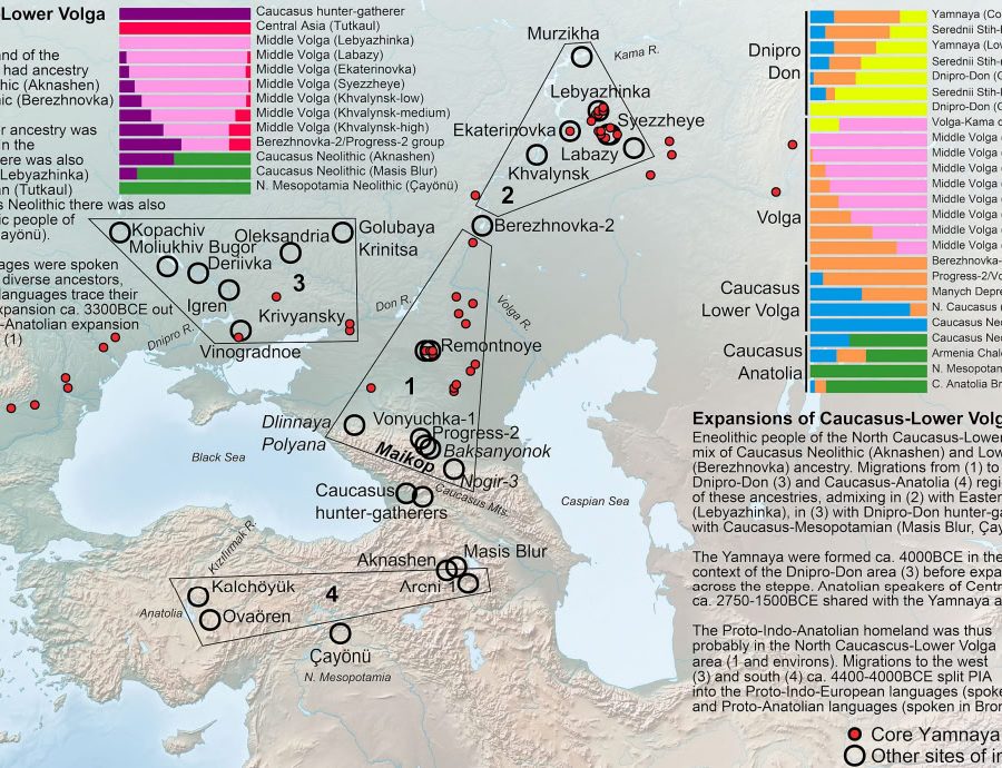 Keksa odam qizning mushukida hd