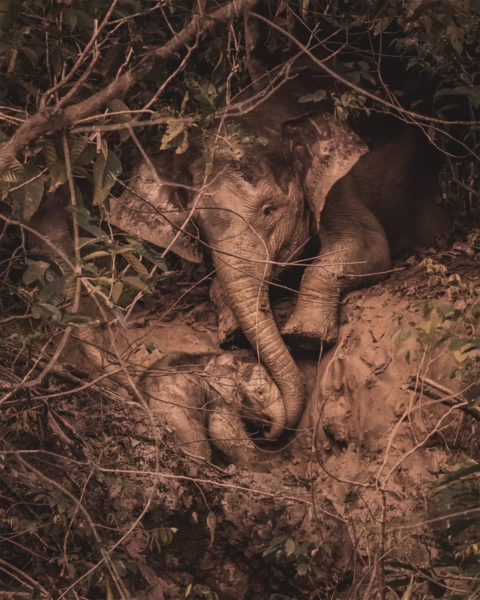 Финалист конкурса — Тара Кин, Ирландия / © Sony World Photography Awards 2025