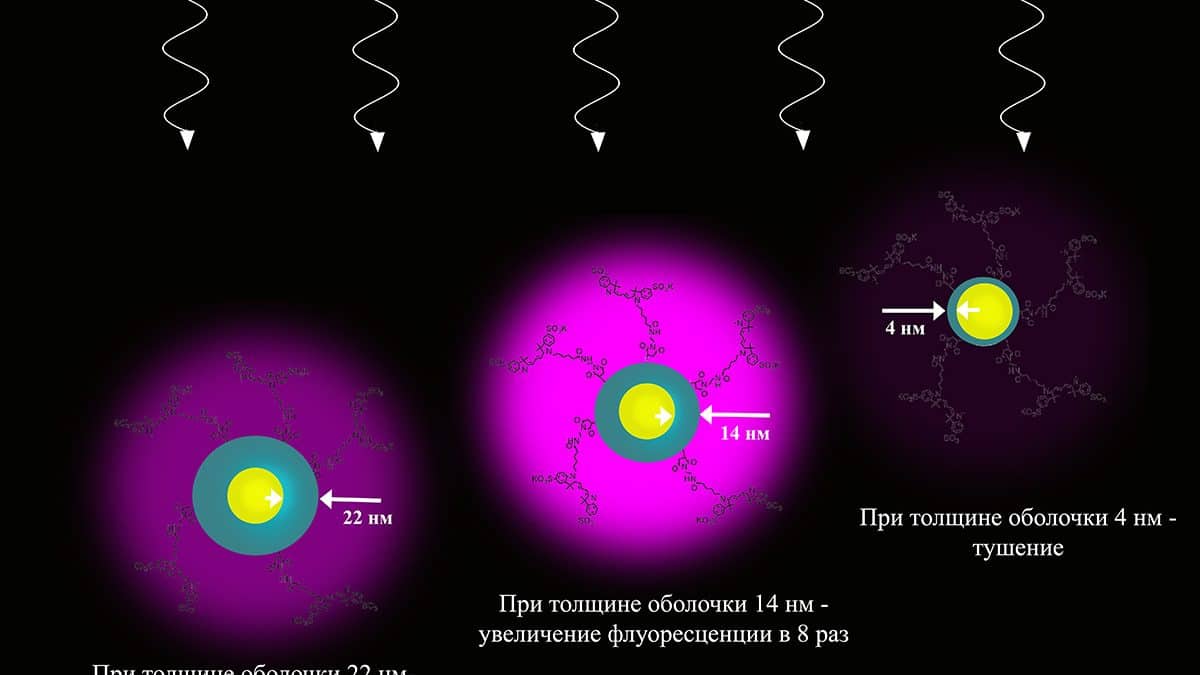 Ученые показали, как толщина оболочки вокруг золотого ядра наночастицы управляет флуоресценцией красителя  