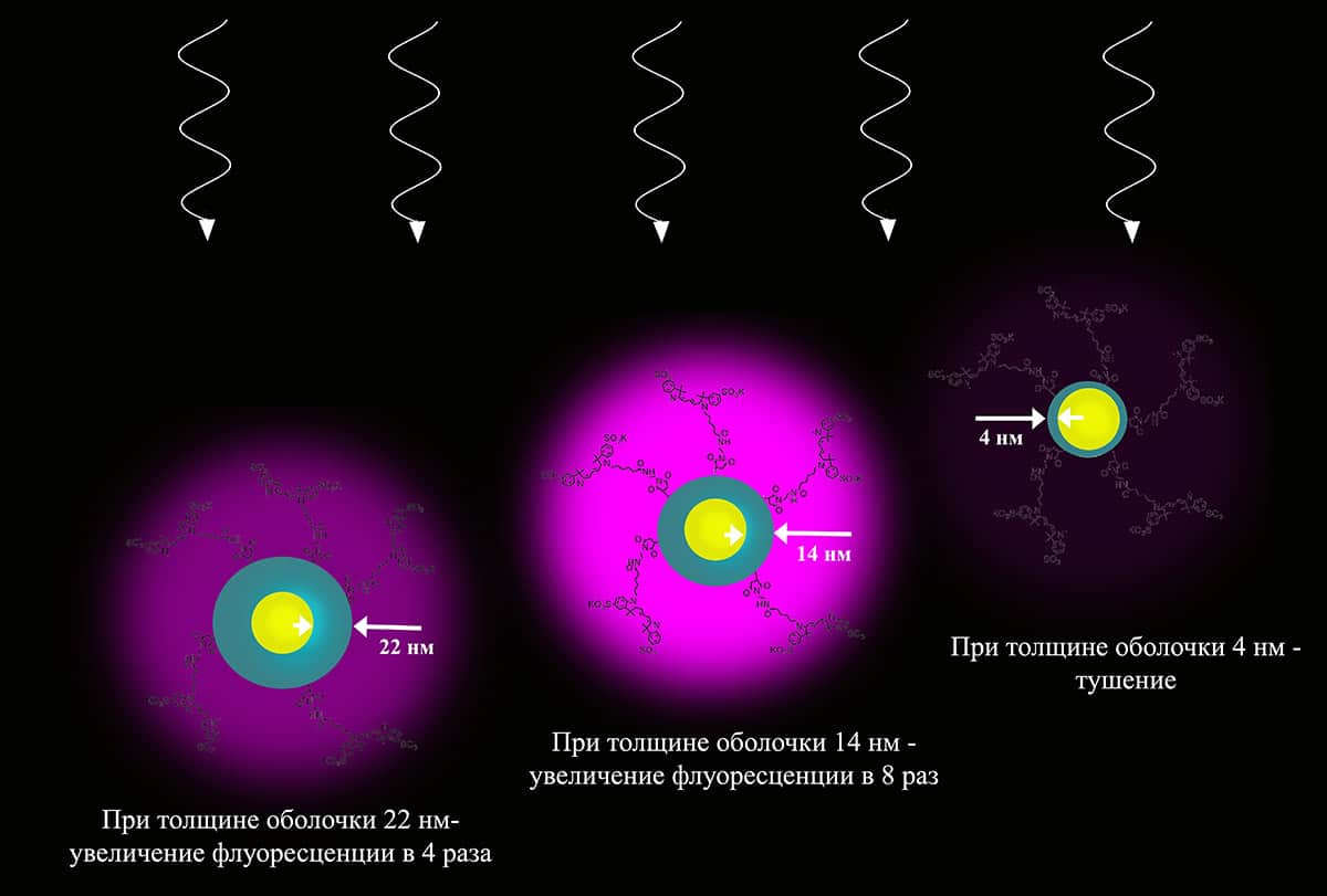 Ученые показали, как толщина оболочки вокруг золотого ядра наночастицы управляет флуоресценцией красителя  