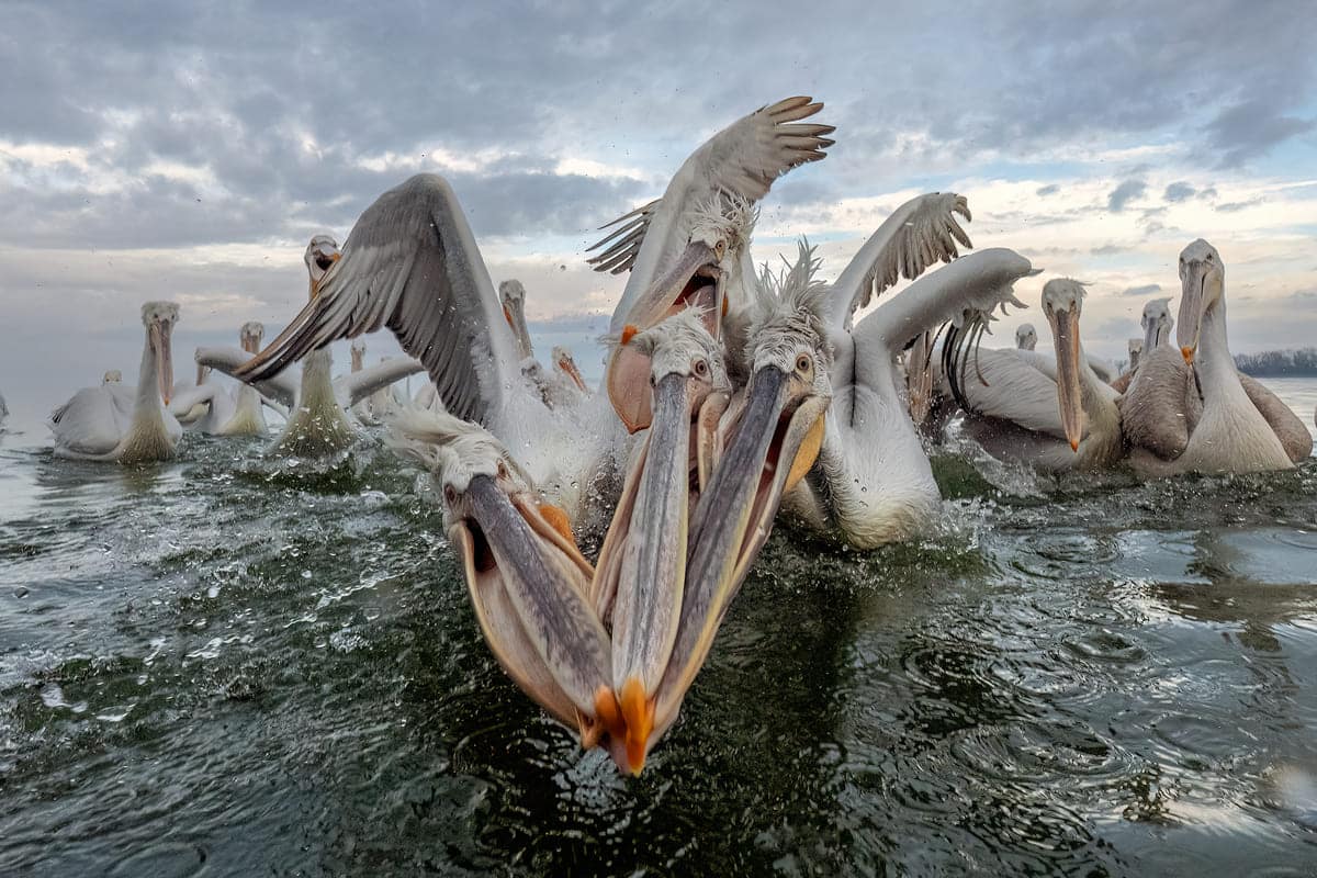 Финалист конкурса — Джанни Майтан, Италия / © Sony World Photography Awards 2025