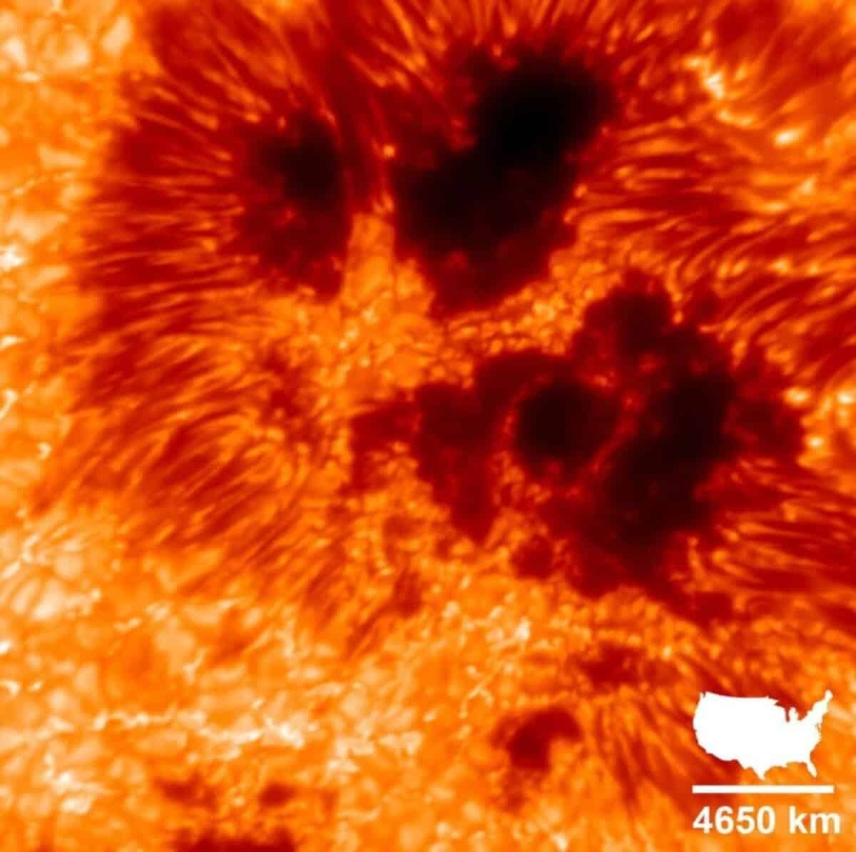 Пятна на Солнце, изображение получено с помощью инструмента VTF / © National Solar Observatory (NSO), AURA, NSF