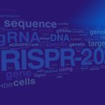 Третий международный конгресс CRISPR-2025