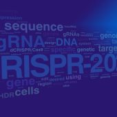 Третий международный конгресс CRISPR-2025 – иллюстрация к материалу на Naked Science