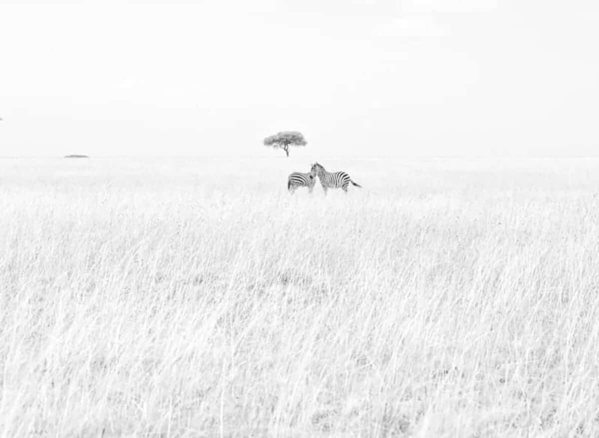 «Друзья» / © Lawrence Yumbya