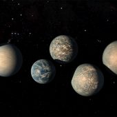 Экзопланеты системы TRAPPIST-1 в представлении художника