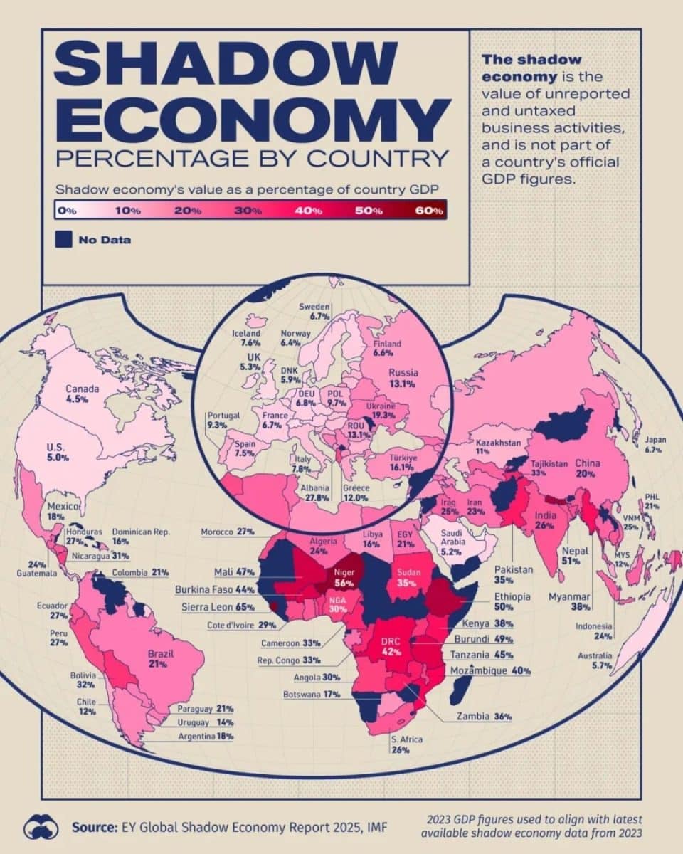 Инфографика: размеры теневой экономики каждой из стран / © Visualcapitalist