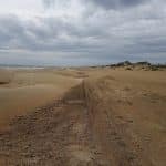 В Перми нашли экологичный способ очистки побережья Черного моря от мазута