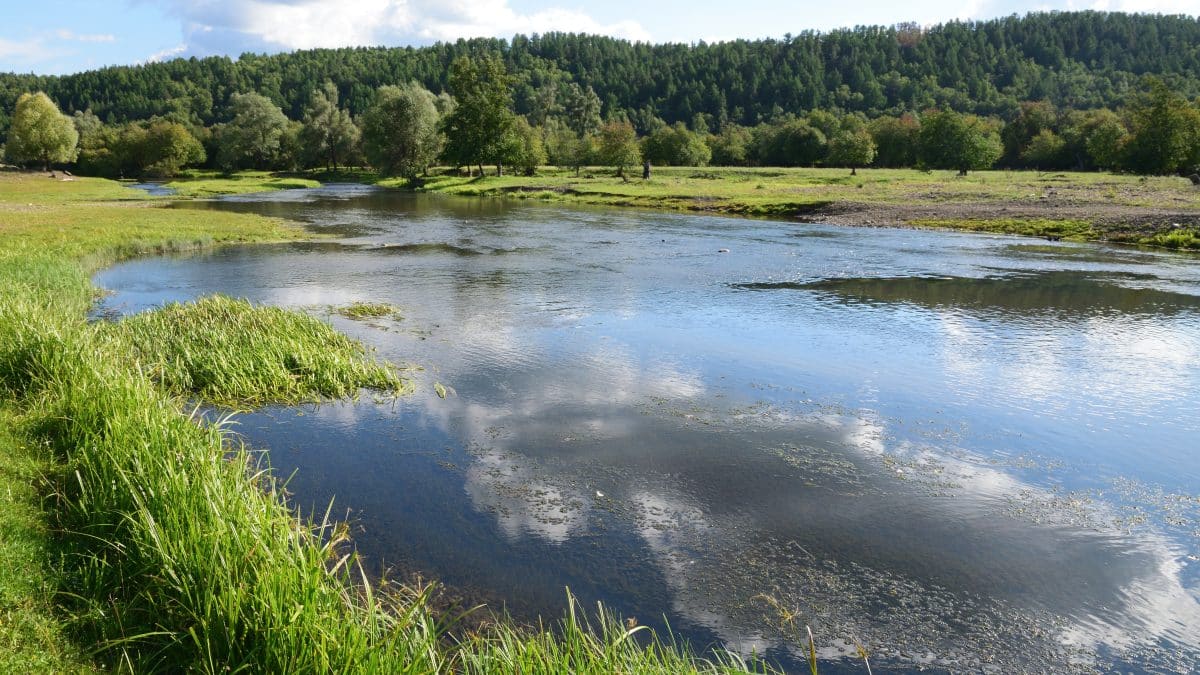 На Урале нашли новый для науки вид рыб