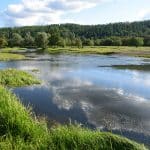 На Урале нашли новый для науки вид рыб
