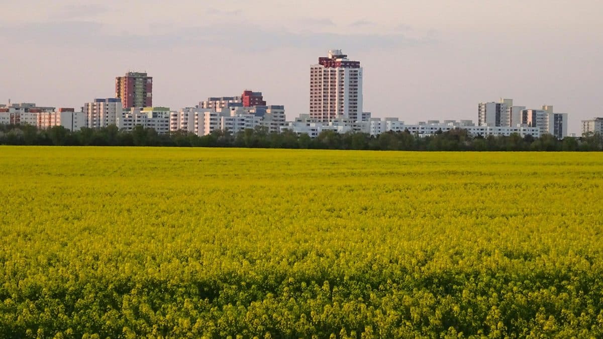Городские фермы способны прокормить население среднего города после апокалипсиса