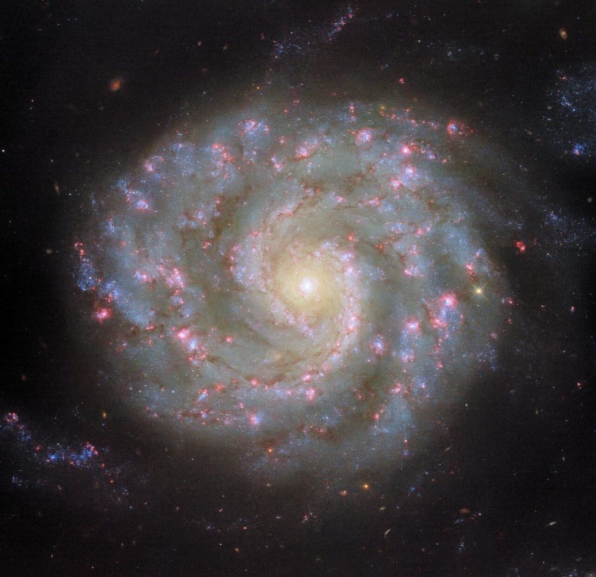 Спиральная галактика NGC 3596 / © ESA / Hubble & NASA, D. Thilker
