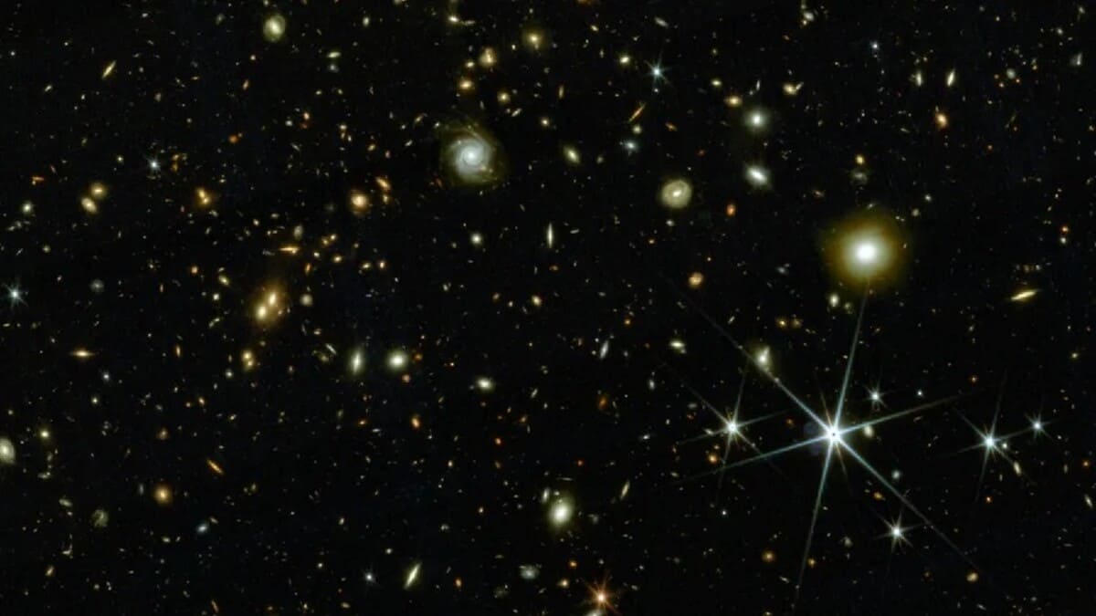 Часть неба в интерактивном каталоге COSMOS-Web / © COSMOS-Web