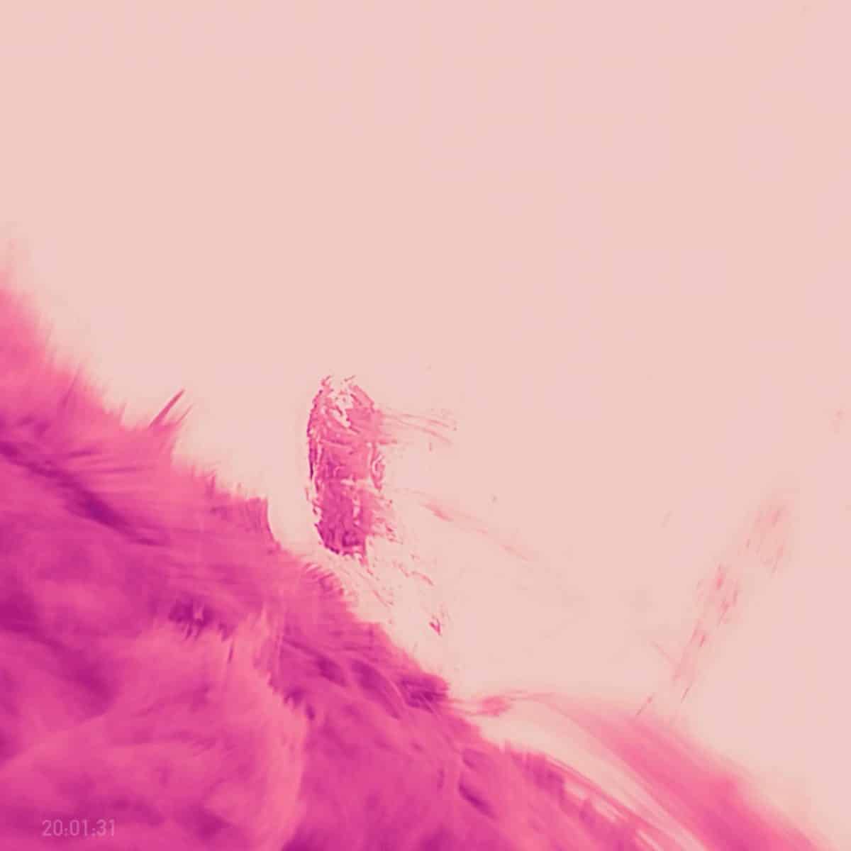 © Schmidt et al./NJIT/NSO/AURA/NSF