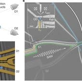 Схема разделения электронной капли / © Nature (2025). DOI: 10.1038/s41586-025-09139-z