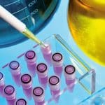 Молекулярные подходы, клеточные и животные модели для изучения функционирования мозга