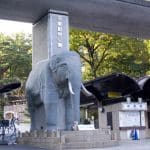 Прогулка по зоопарку Тама