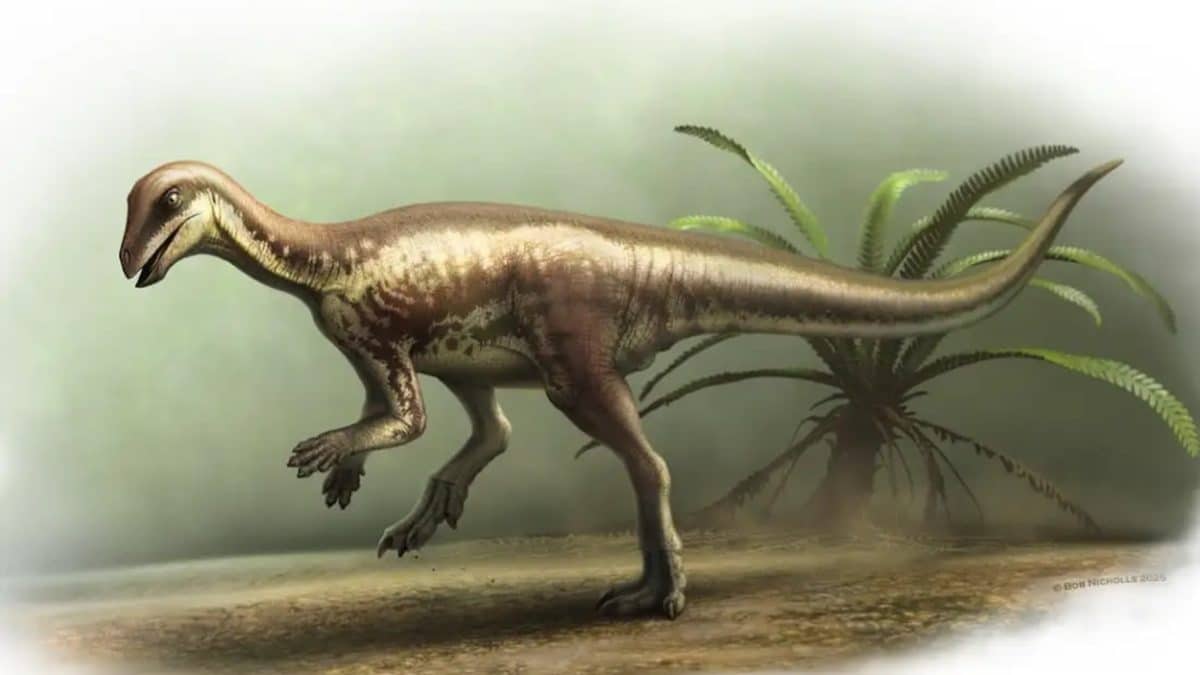 Палеонтологи описали нового динозавра — маленького и очень шустрого