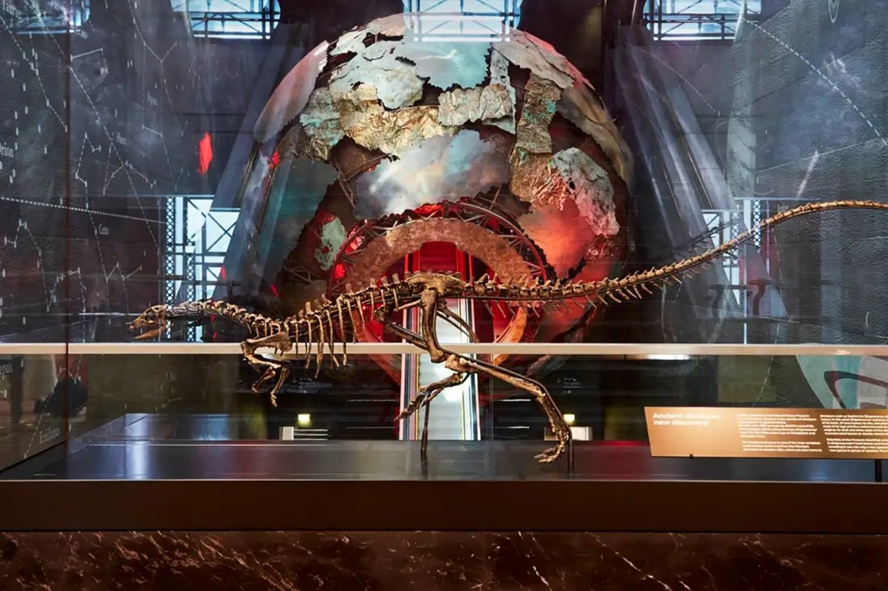 Enigmacursor mollyborthwickae