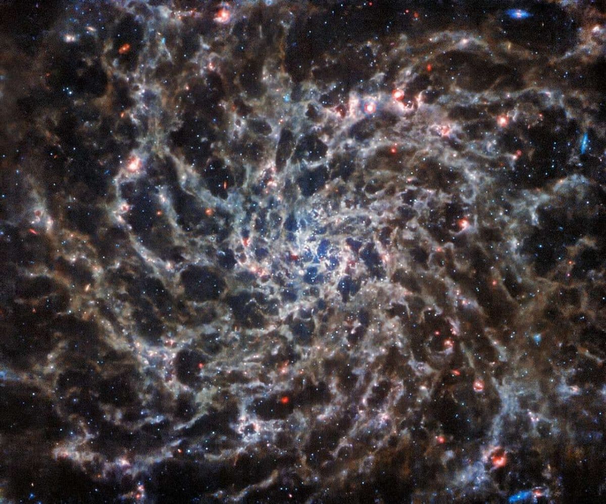 Спиральная галактика IC 5332. Все попытки доказать теорию струн через астрономические наблюдения пока оказывались неудачными / © ESA/Webb, NASA & CSA, J. Lee and the PHANGS-JWST and PHANGS-HST Teams