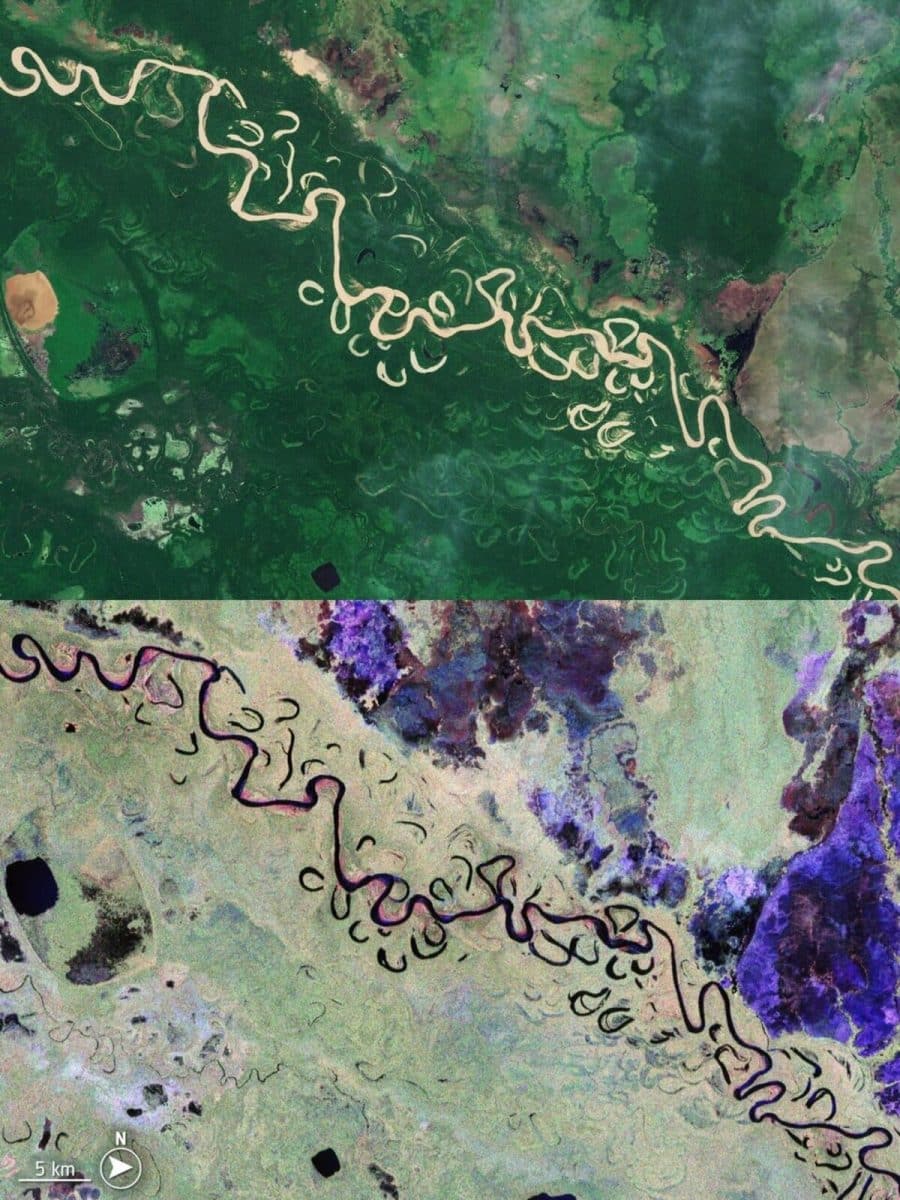 Сравнение изображений, полученных спутником Sentinel-2 (вверху) и аппаратом Biomass (внизу) / © ESA