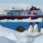 Якоря и цепи судов повредили хрупкие экосистемы морского дна Антарктики