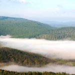 Российские ученые нашли способ «увидеть» сквозь туман и дым