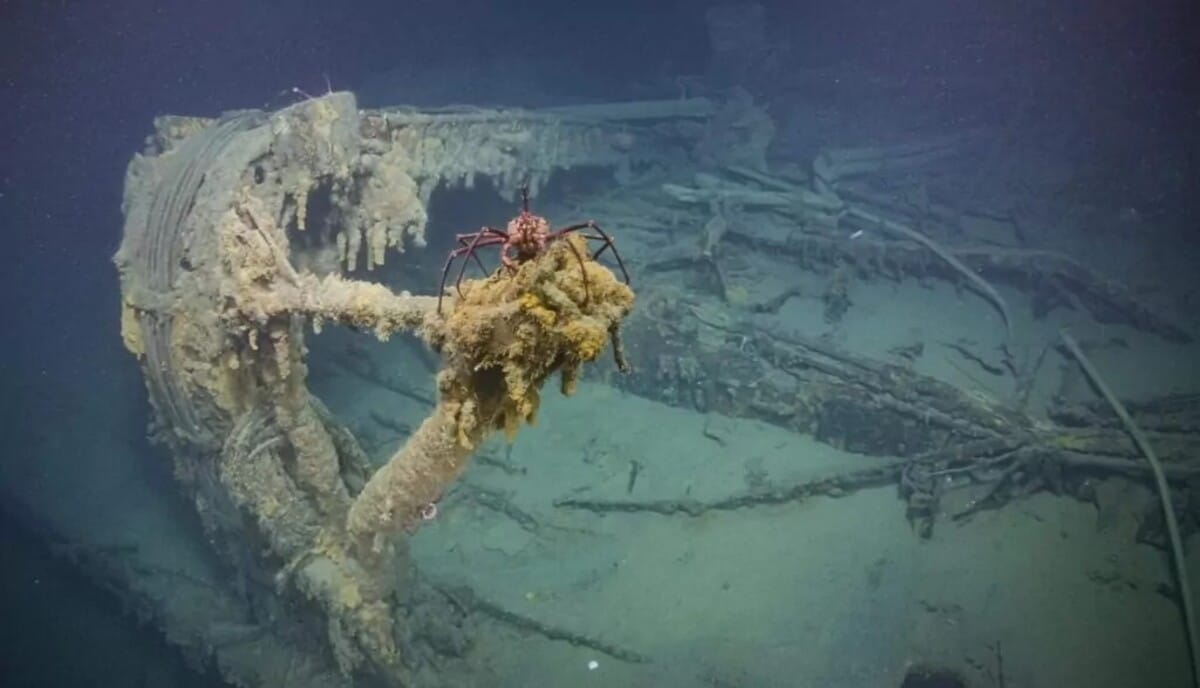 Подводный снимок японского эсминца «Тэрудзуки» / © Ocean Exploration Trust