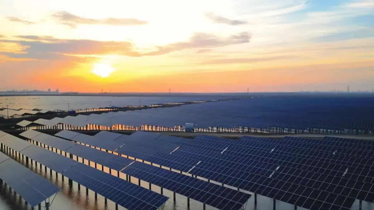Китай запустил огромную солнечную ферму над водоемами с рыбой