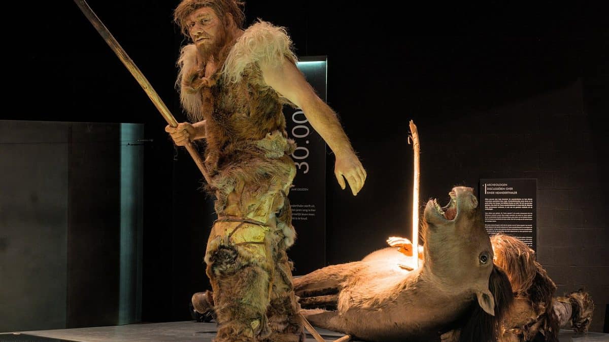 Неандертальская жертва каннибалов оказалась веганом