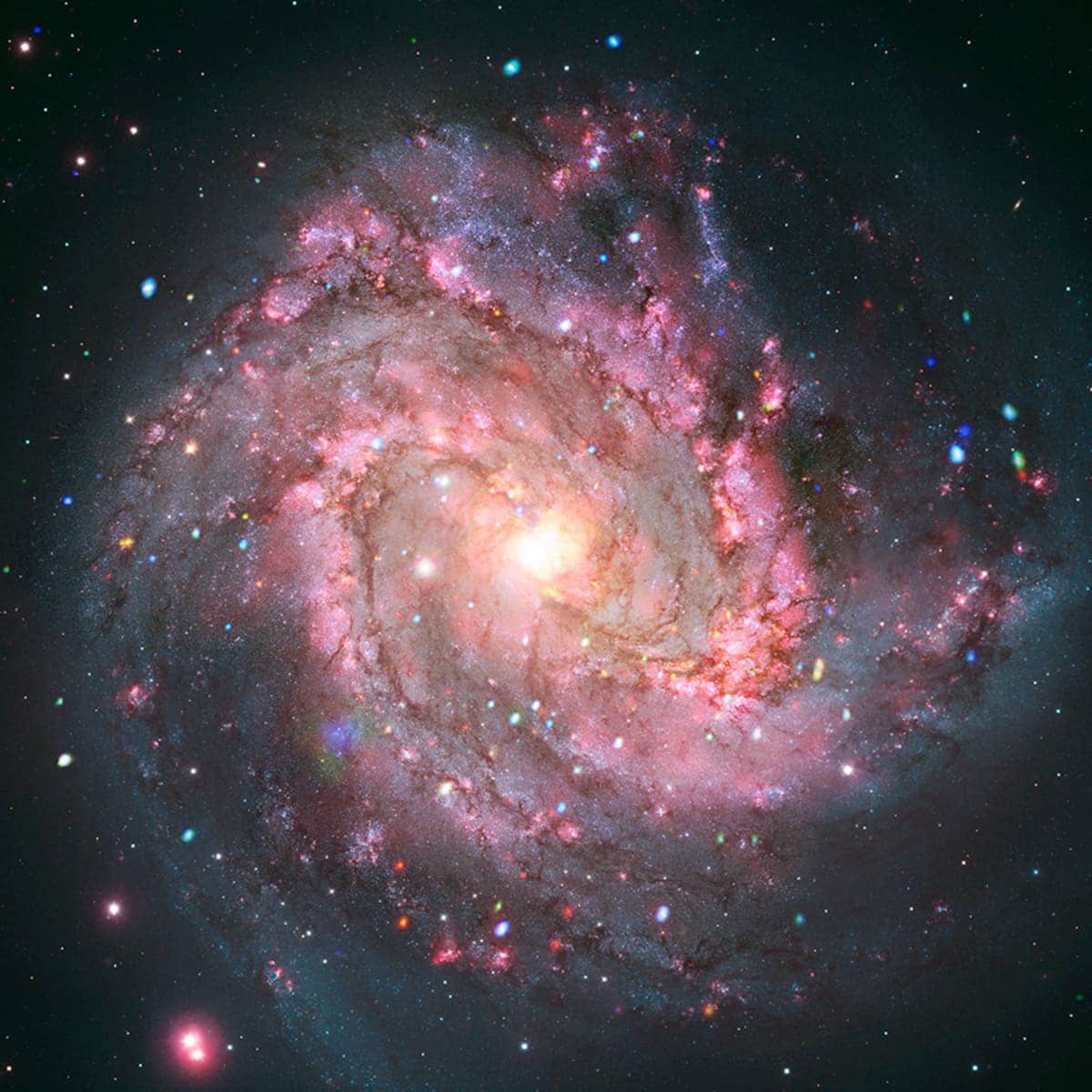 Спиральная галактика с перемычкой Messier 83 в созвездии Гидра / © NASA
