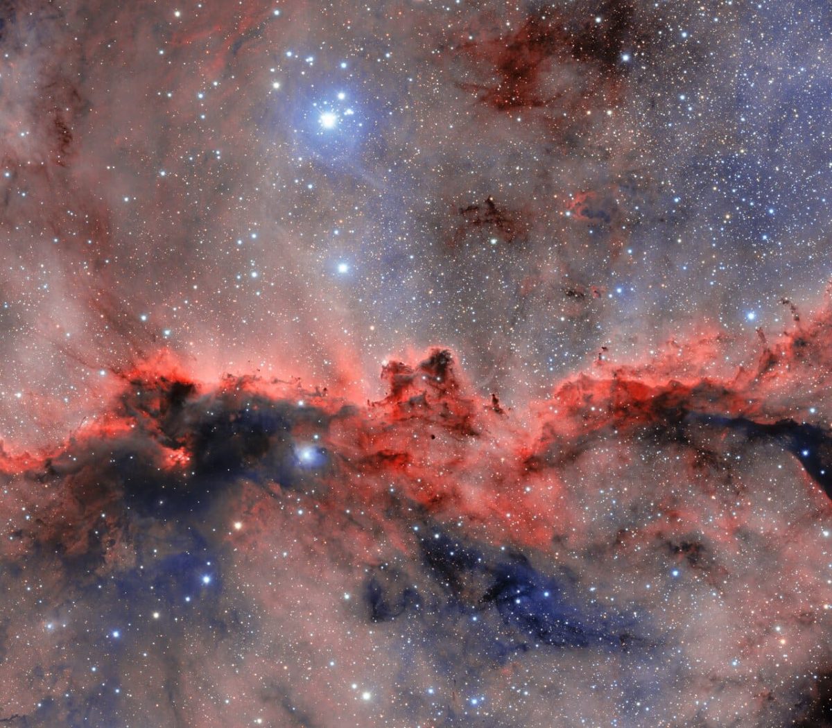 Туманность NGC 6188 / © Dark Energy Survey / DOE / FNAL / DECam / CTIO / NOIRLab / NSF / AURA