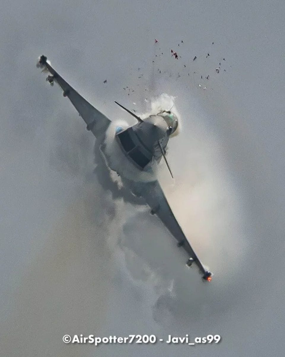 Столкновение истребителя Eurofighter Typhoon с птицей / © Javier Alonso de Medina Salguero