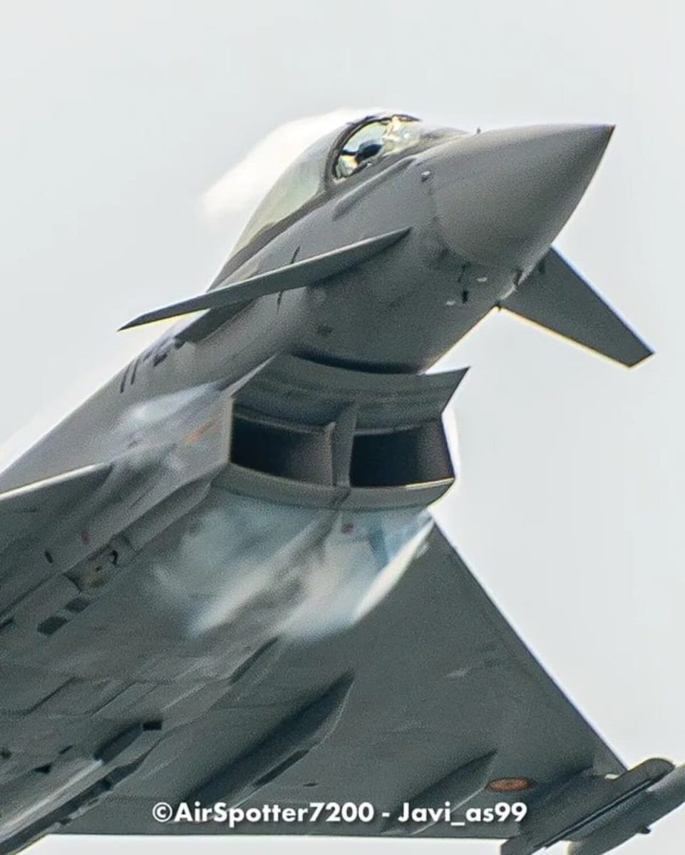 Истребитель Eurofighter Typhoon после столкновения с птицей / © Javier Alonso de Medina Salguero