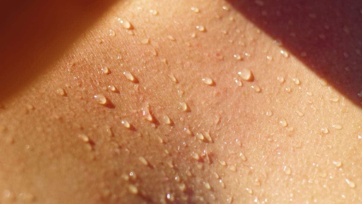 Изучение процесса потоотделения перевернуло традиционное представление о нем