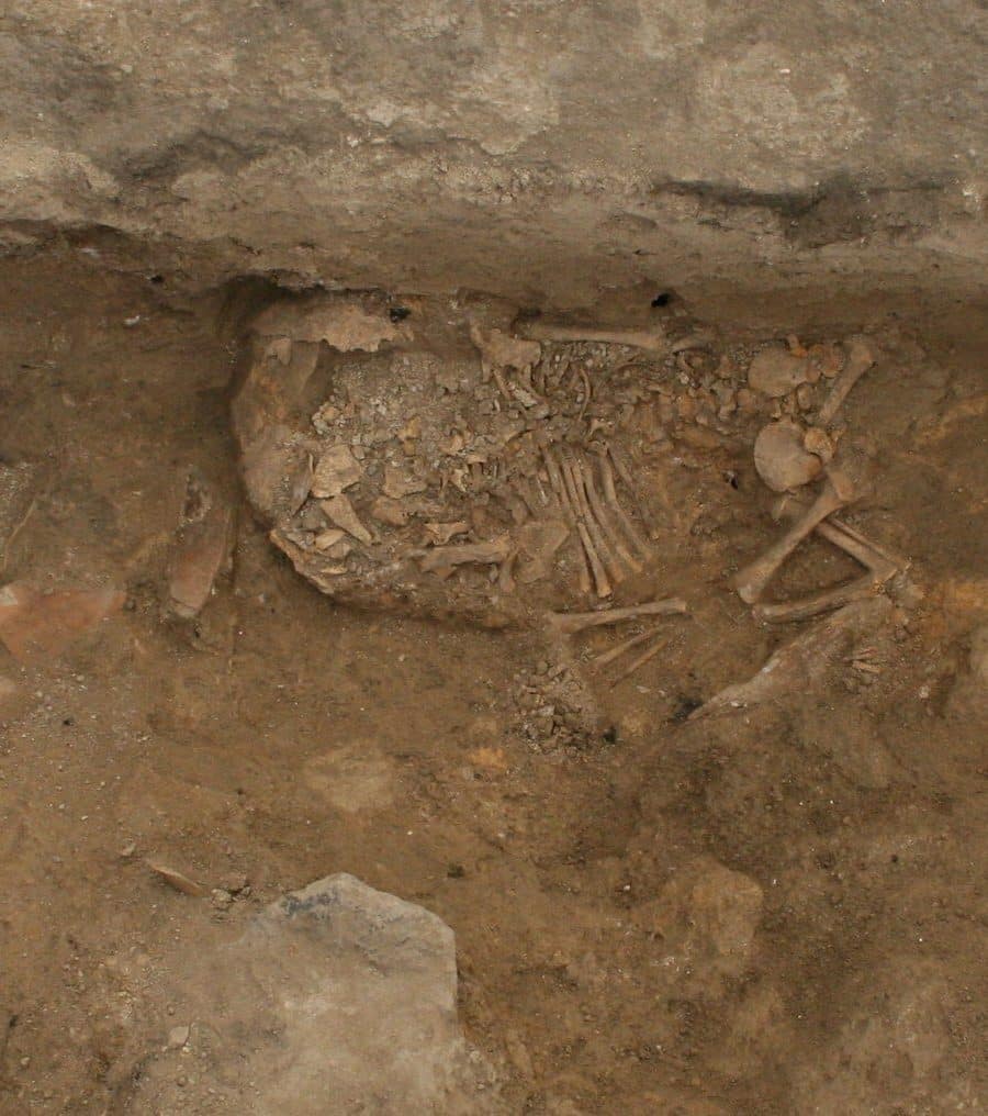 Temryuk tumani, Starotitarovskaya qishlogida jinsiy aloqa, mm Temryuk tumani, Starotitarovskaya qishlogida jinsiy aloqa, mm