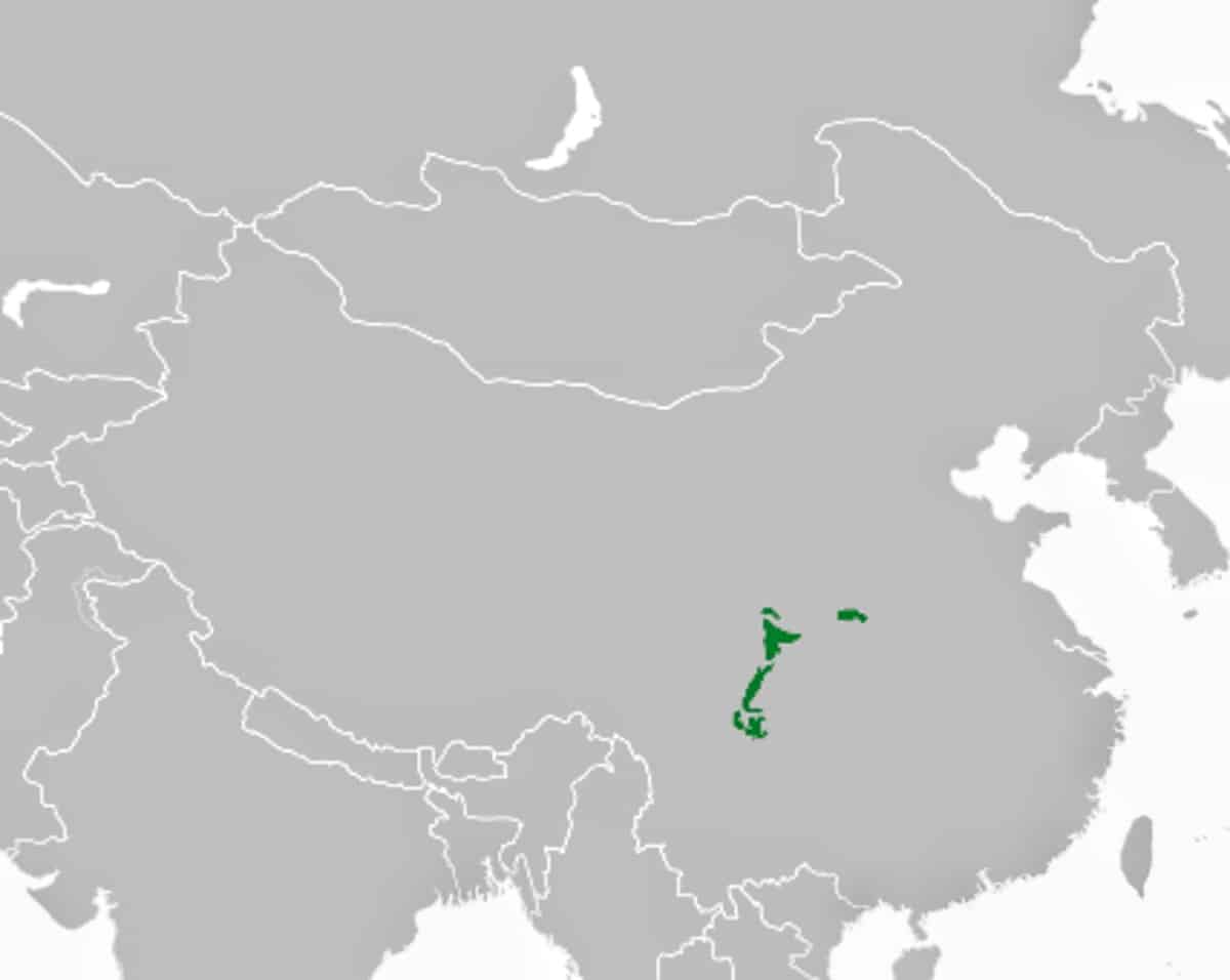 Ареал обитания больших панд в дикой природе / © IAMTHEEGGMAN Wikipedia