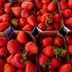 Названы самые сладкие и урожайные сорта клубники для Ленинградской и Новгородской областей