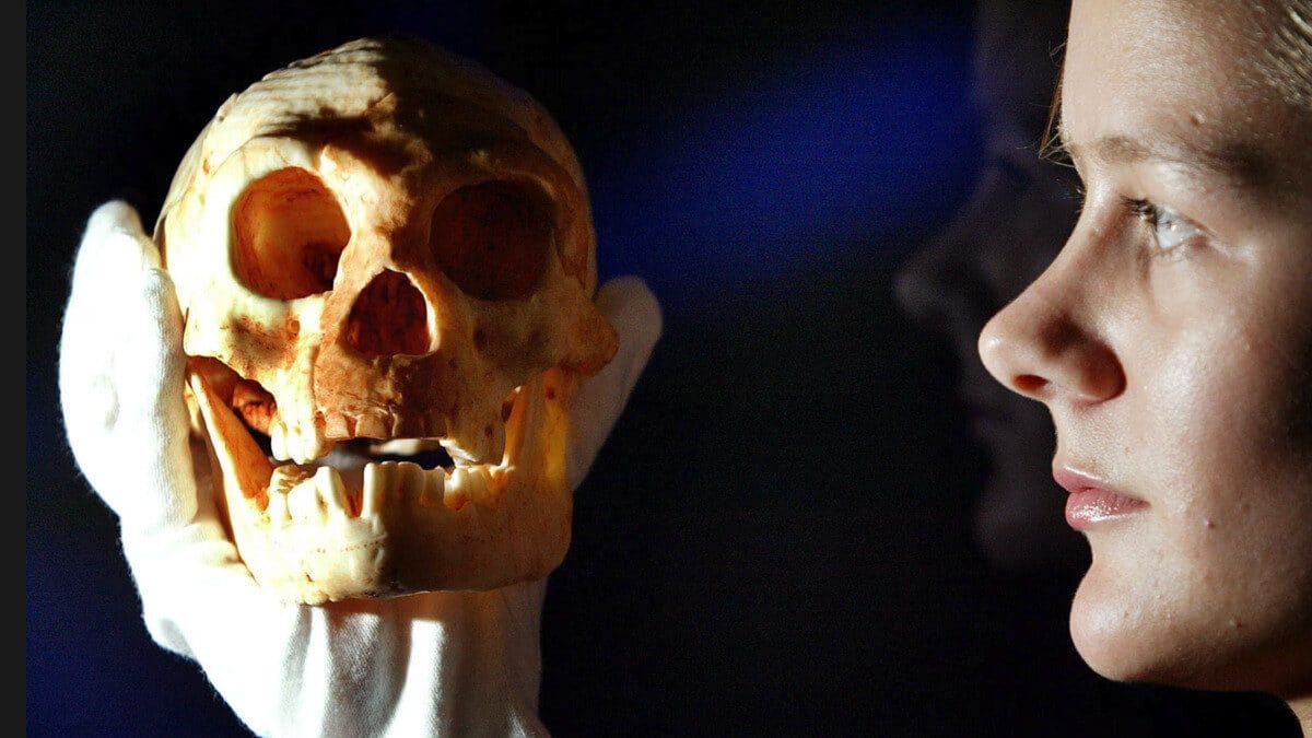 Нейробиолог объяснил, почему рост объема мозга человека прекратился 100 000 лет назад