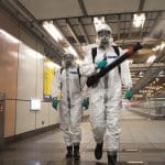 Ученый рассказал, опасен ли китайский вирус чикунгунья для России