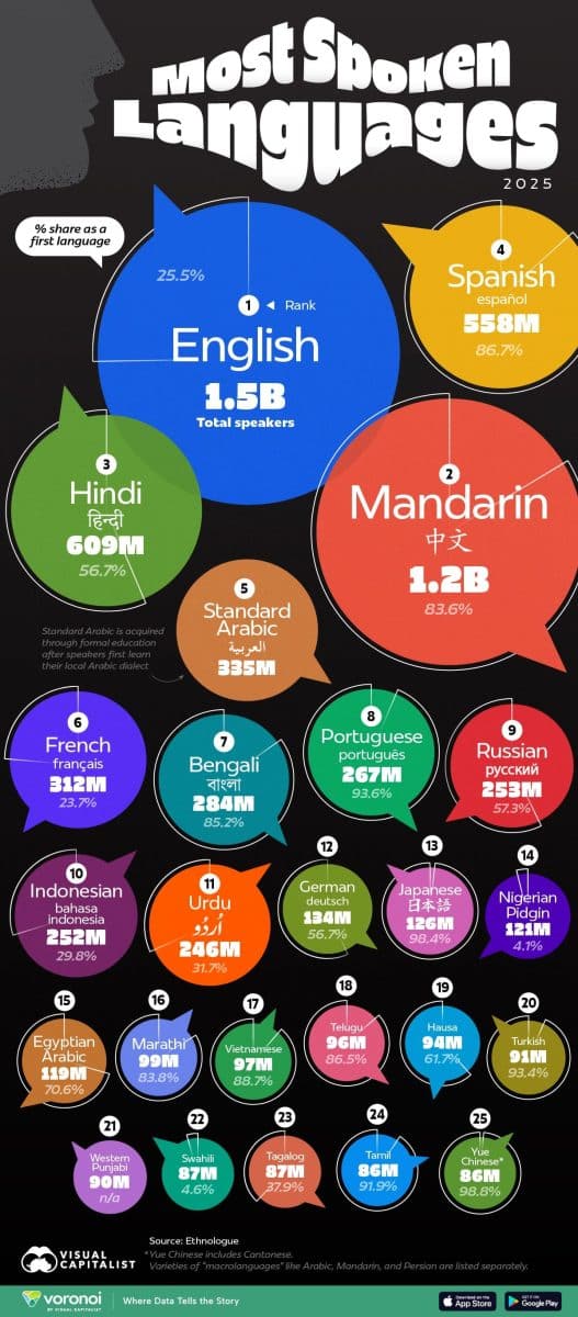 Инфографика: самые распространенные языки мира в 2025 году / © Visualcapitalist