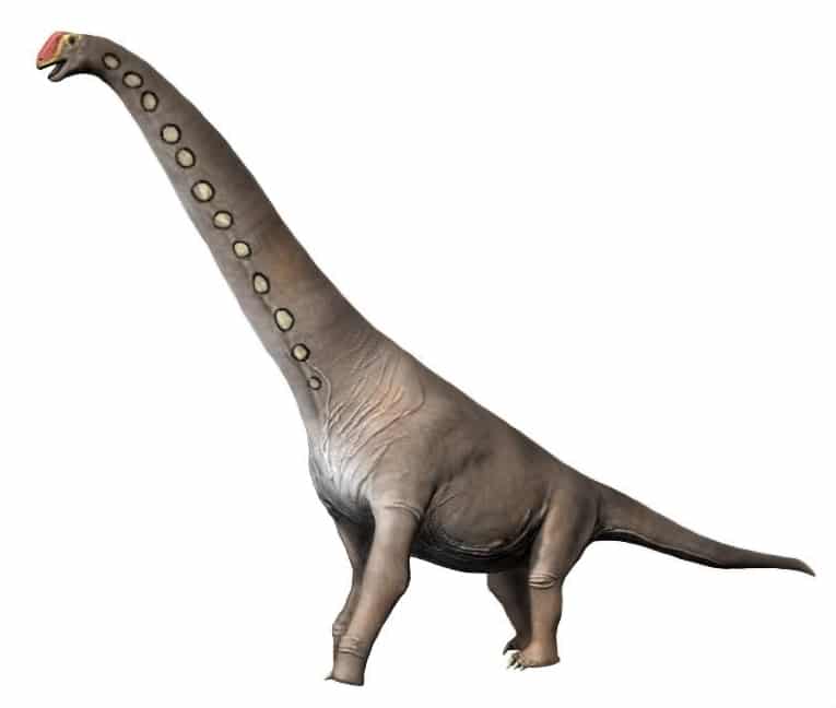 Реконструкция Brachiosaurus altithorax / © Nobu Tamura, Wikimedia 