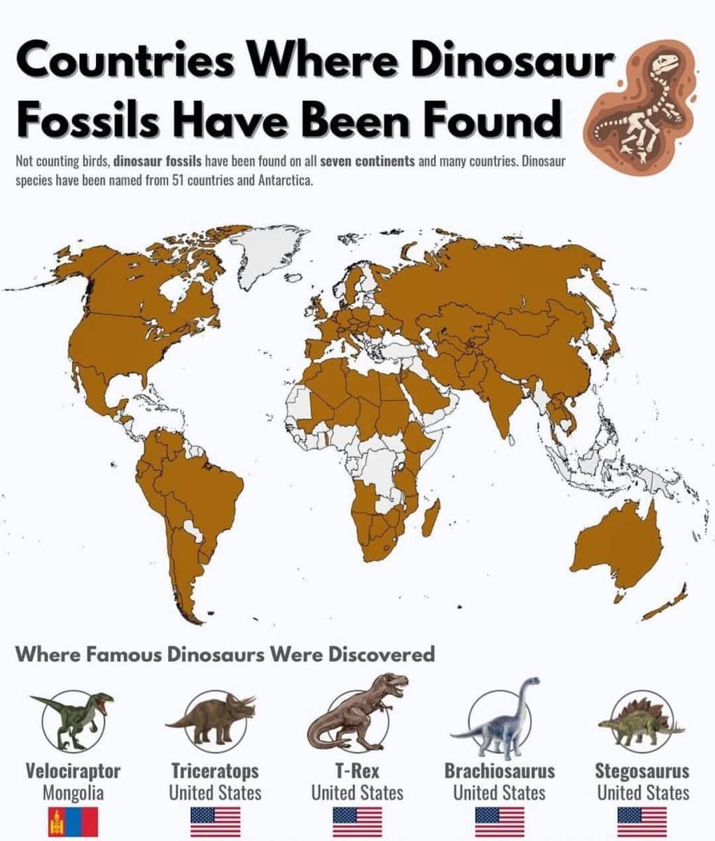Страны, где находили окаменелости динозавров / © Scientific American, PowerfulCountries