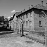 Потомки жертв холокоста оказались более психологически устойчивыми, чем их сограждане