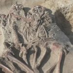 В Польше нашли захоронение обнимающихся взрослых и детей эпохи мезолита