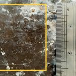 В Иране обнаружили древнюю надпись размером со спичечный коробок