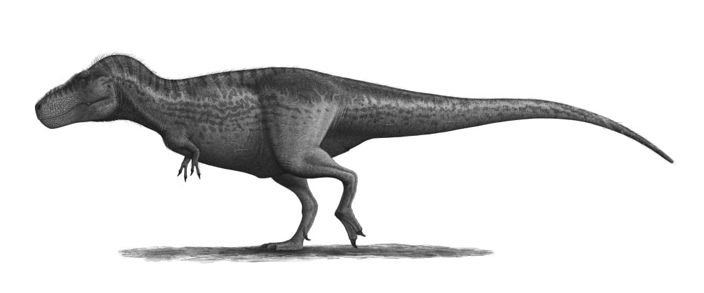 Реконструкция внешнего облика Tyrannosaurus rex / © Steveoc 86, Wikimedia 