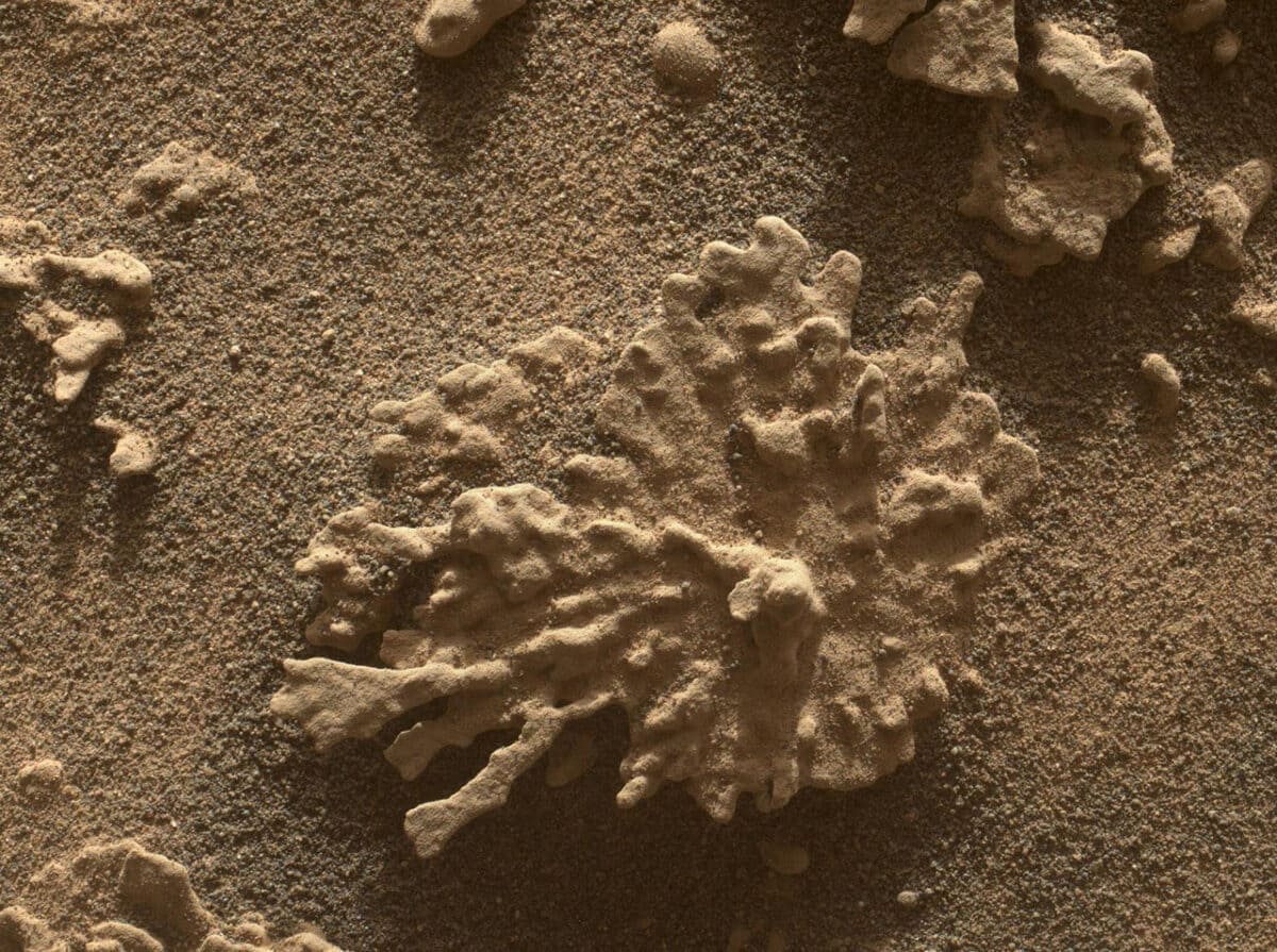 Curiosity запечатлел «коралл» на Марсе / © NASA / JPL-Caltech / MSSS