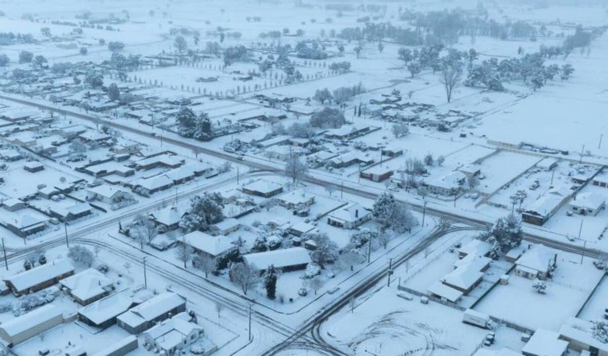 Австралию накрыл самый мощный снегопад за 20 лет / © ABC New England North West